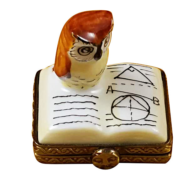 Load image into Gallery viewer, Mini Owl on Book Limoges Box

