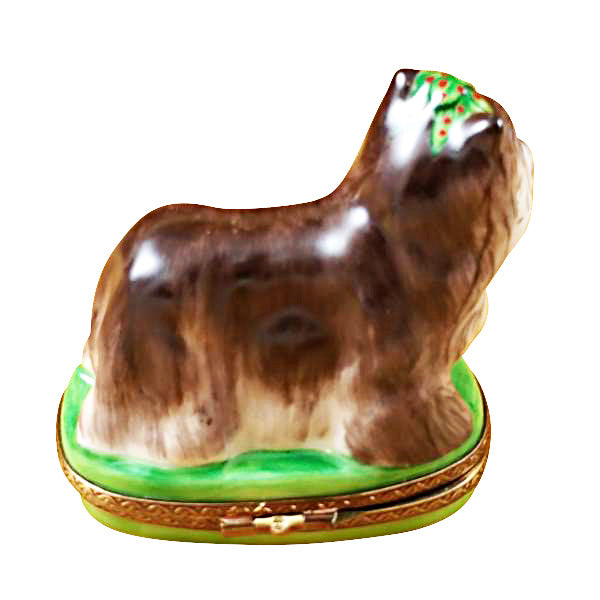 Load image into Gallery viewer, Yorkshire Terrier Green Base Limoges Box
