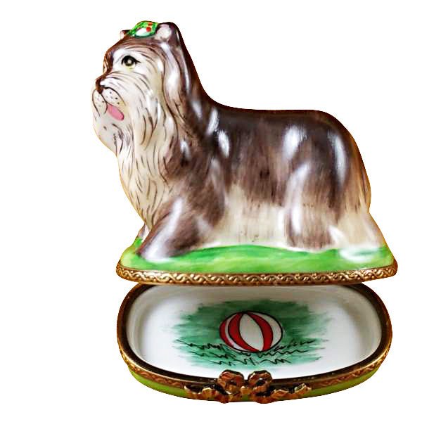 Load image into Gallery viewer, Yorkshire Terrier Green Base Limoges Box
