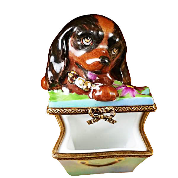 Load image into Gallery viewer, Brown Spaniel in Package Limoges Box
