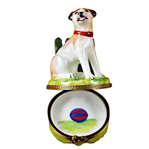 Jack Russell Limoges Box