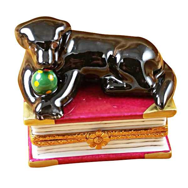 Load image into Gallery viewer, Black Labrador on Book Limoges Box
