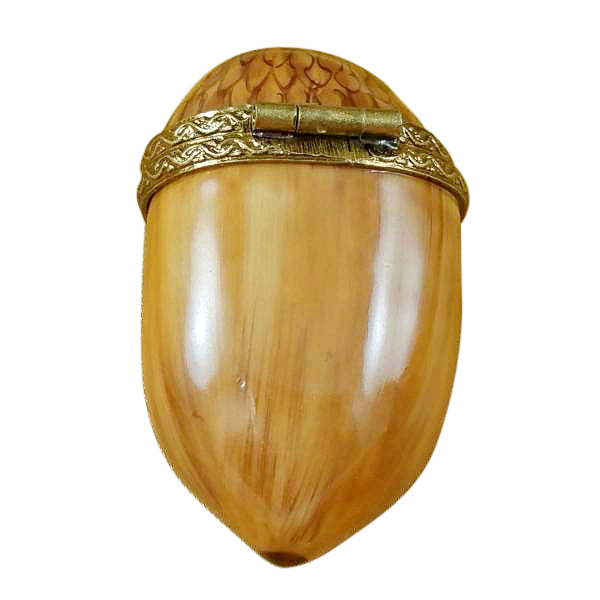 Load image into Gallery viewer, Hazelnut Limoges Box
