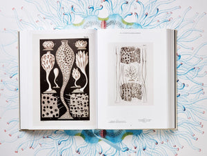 The Art and Science of Ernst Haeckel - Taschen Books