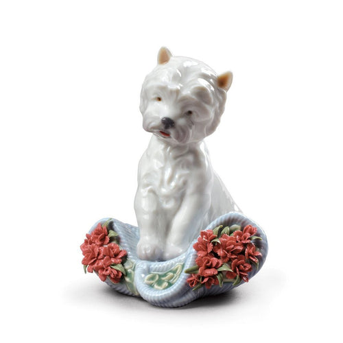 Lladro Playful Character Dog Figurine Type 164